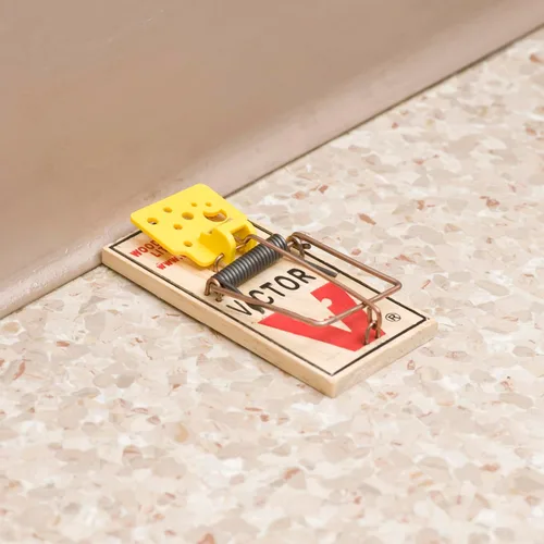 Miniatura 7 de VICTOR Trampa para ratones fácil de instalar, 2