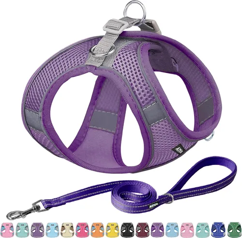Miniatura 17 de AIITLE - Juego de arnés y correa para perro sin tirones, arnés ajustable para perros con chaleco acolchado para todo clima, correa para perros