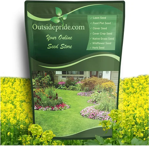 Outsidepride Semillas de mostaza blanca para plantar, semillas de cultivo de cobertura anual de 5 libras con sistema de raíces profundas, forraje