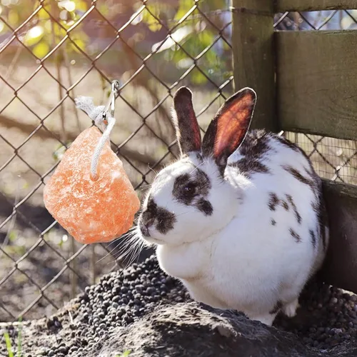 Miniatura 7 de PINVNBY Bloques de sal para conejos, 4 piezas de mascotas pequeñas del Himalaya lamen sal bloque de sal sales minerales naturales con gancho