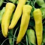Miniatura 2 de Semillas de vegetales de plátano dulce y pimienta (100 semillas)
