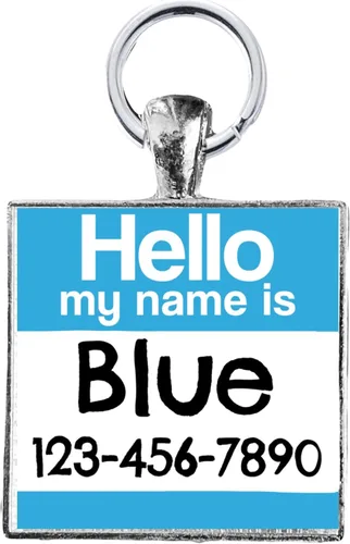 Etiqueta de identificación cuadrada para perros y gatos con texto en inglés «Hello My Name Is – Elige el color