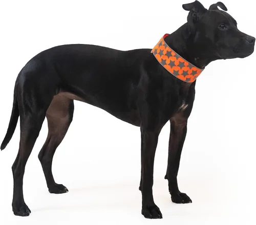 Miniatura 2 de SafetyPUP XD Collar reflectante para perro – Collar de perro naranja resplandeciente, cierre ajustable para un collar personalizable de alta
