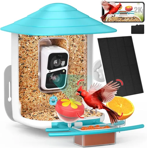 Miniatura 17 de birdsnap® TUC - Comedero para pájaros con cámara 2K HD en vivo con tarjeta de 32 GB, detección y notificación automática de inteligencia artificial