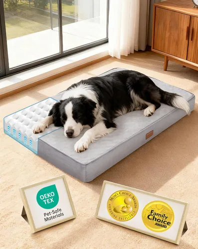 Miniatura 24 de OhGeni Cama ortopédica impermeable para perros pequeños, funda extraíble lavable a máquina en tela fácil de limpiar, espuma de alta densidad y asa