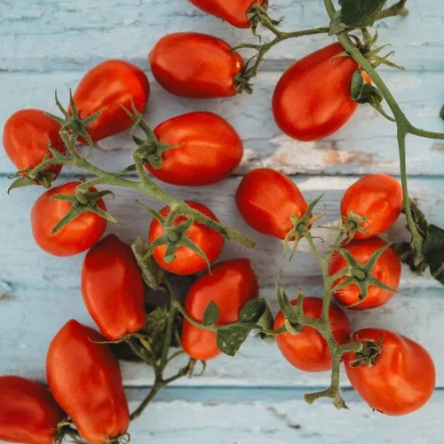 Martino's Roma Heirloom Sauce Tomate - 50 semillas - Pasta de tomate italiana reliquia, ideal para enlatar, semillas de tomate Roma sin OMG para