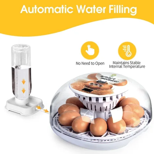 Miniatura 4 de ZEMIRO CHARGE Incubadora de 12 huevos para incubar huevos con girador automático de huevos, control de temperatura, adición automática de agua