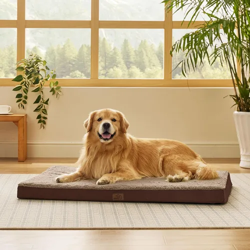 Miniatura 32 de Bedsure Camas para Perros Tamaño Grande - Cómodas Camas Planas para Mascotas con Funda Lavable Extraíble, Alfombrilla de Espuma Ortopédica