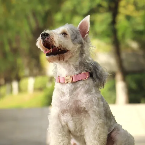 Miniatura 2 de PET ARTIST Collares de perro personalizados, collar de perro rosa grabado personalizado con etiqueta de nombre silenciosa, hebilla dorada