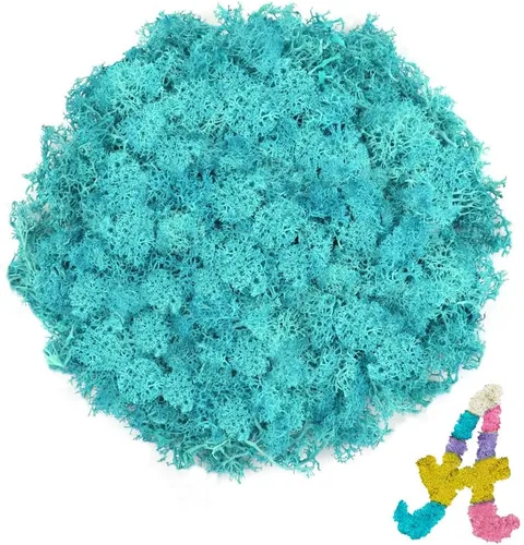 Musgo de reno azul de 3.5 onzas, musgo preservado para plantas, decoración de musgo, musgo verde para manualidades, musgo para plantas en maceta,