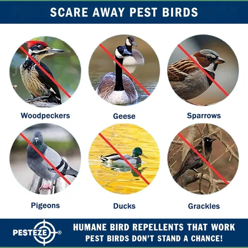Miniatura 9 de PESTEZE Señuelo grande de globo blanco de 16 pulgadas con forma de pájaro aterrador [1 unidad] disuade a las aves plagas no deseadas como palomas