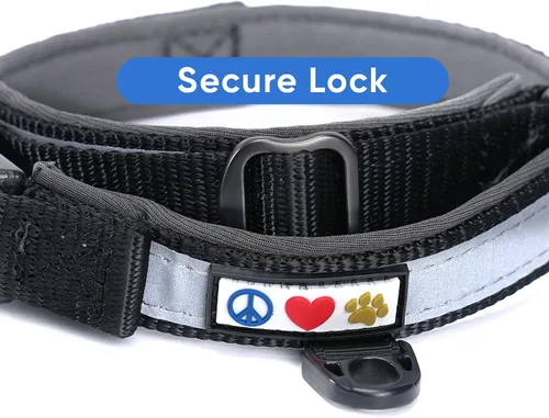 Miniatura 7 de Pawtitas Cuello ajustable reflectante para perro, Collar para perro acolchado, Negro