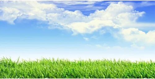 Miniatura 9 de Leyiyi Fondo de fotografía de pastizales de primavera de 4 x 4 pies, planta de jardinería, prado, cielo, nube, punto de luz, pradera del norte