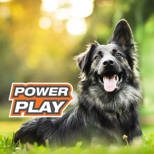Miniatura 10 de Nylabone Power Play - Juguete de fieltro de fieltro Gripz Fetch, bola chirriante, juguete masticable para perros, grande (1 unidad)