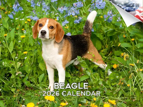 Miniatura 41 de Calendario 2025 2026 de cachorros Cocker Spaniel - Calendario mensual de pared de raza de perro - 12" x 24" abierto - Papel grueso sin sangrado