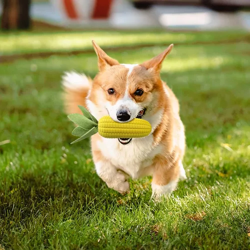 Miniatura 7 de Juguetes para perros para masticadores agresivos, juguete masticable de maíz chirriante indestructible para razas grandes, medianas y pequeñas