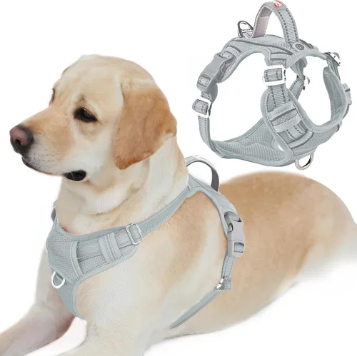 Miniatura 65 de BARKBAY Arnés para perro sin tirones con bolsillo para etiqueta de identificación, resistente, reflectante, fácil control para perros grandes