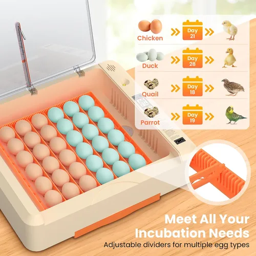 Miniatura 6 de Incubadora de huevos 36-60 con giro automático de huevos y control de humedad, incubadora de huevos de pollo ajustable con pantalla digital