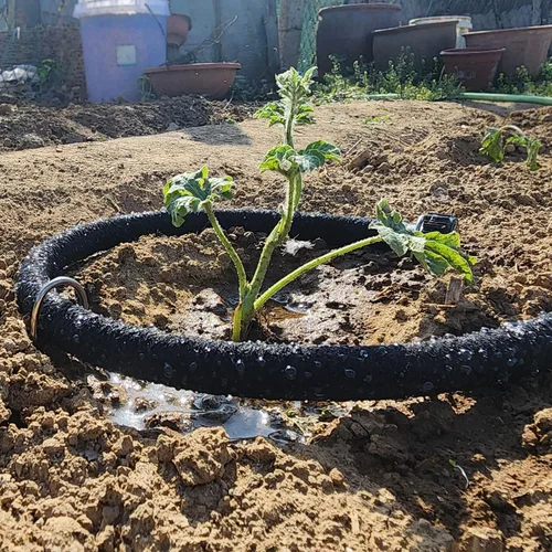 Miniatura 3 de Atlantic Short Soaker Hose 2ft x1/2" Garden Soaker Hose, Water Seeper Hoses for Foundation Watering, Garden Beds, Garden, Lawn and Plants.