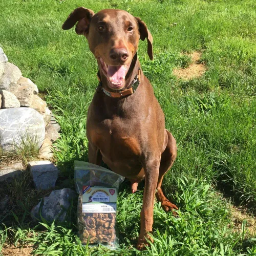 Miniatura 7 de Golosinas de carne de res para perros, fabricadas solo en Estados Unidos, puntas de carne de res carnosa y naturales, carne de res americana asada