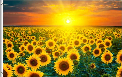 Bandera de paisaje natural de girasol, campos de flores, granja, puesta de sol, primavera, verano, 3 x 5 pies, de una sola cara con ojales de latón,