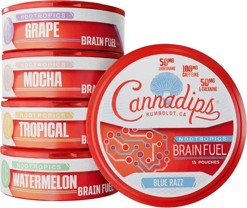 Cannadips - Paquete variado de combustible cerebral - Bolsas de cafeína nootrópicas - 50 mg de melena de león, 100 mg de cafeína, 50 mg de