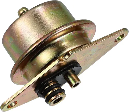 X AUTOHAUX Regulador de presión de inyección de combustible para Ford F-150 1994-1999 para Ford F-250 1993-1999 Reemplaza F4SZ9C968A F4TZ9C968B