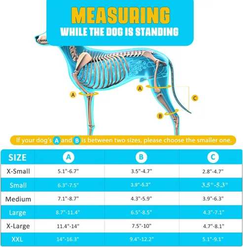 Miniatura 3 de Rodillera para Perro para Pata Trasera, Rodillera para Cuidado del Ligamento Cruzado para Perros, Soporte Extra ACL, Reduce el Dolor Articular