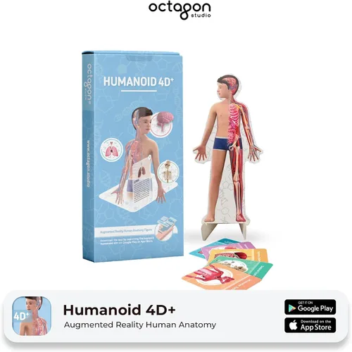 Miniatura 2 de Octagon Studio Tarjetas 4D humanoides para aprendizaje STEM en casa