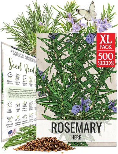 Miniatura 16 de Seed Needs Semillas de albahaca para plantar hierbas de albahaca tailandesa, reliquia sin OMG y sin tratar, cultiva un jardín de hierbas culinarias