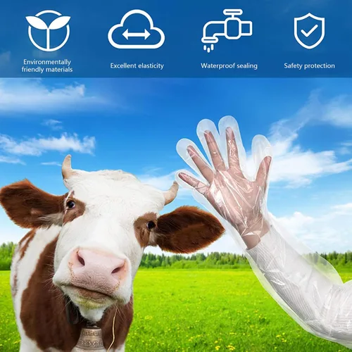 Miniatura 3 de 50 guantes de plástico desechables para inseminación veterinaria, rectal, brazo completo, de plástico, de 35.5 pulgadas, para veterinarios, limpieza