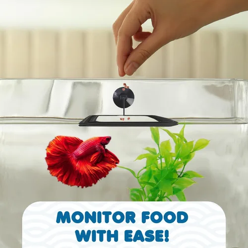 Miniatura 6 de SunGrow Anillo de alimentación de alimentos para peces, evita que las turbulencias del agua laven alimentos y plantas flotantes en el filtro