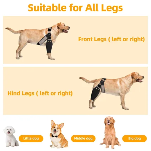 Miniatura 6 de Rodillera para perro para desgarro del ligamento cruzado anterior, pierna de perro para patas delanteras y traseras traseras, soporte elástico