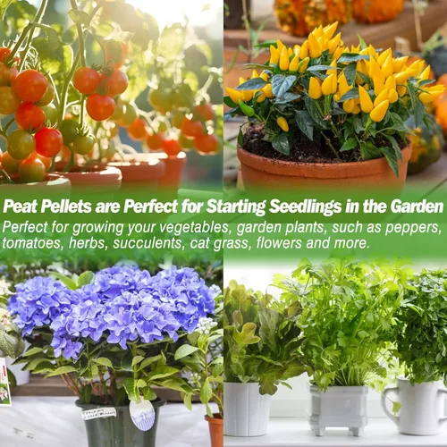 Miniatura 7 de ZeeDix 200 pellets de turba de 1.417 in para el inicio de semillas, cápsulas de tierra comprimidas para verduras, hierbas y flores, jardinería 200