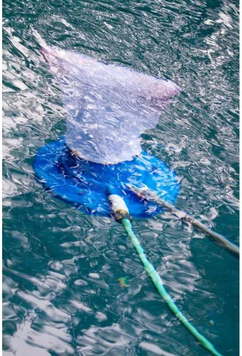 Miniatura 3 de Aquatix Pro Repuesto de bolsa de malla fina de alta calidad con cable de tracción y bloqueo para aspiradora de hojas de piscina, comedor, atrapador