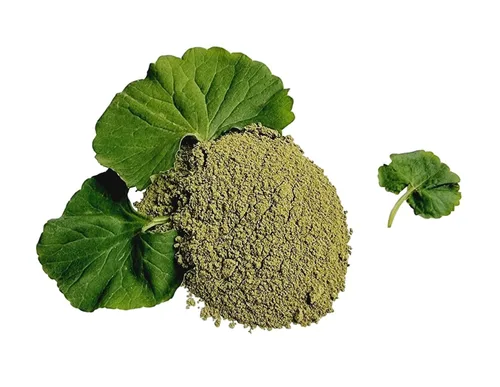 Gotu Kola en polvo, hecho de centella asiática 100% - Pure, Natural Asiatic Pennywort/Indian Pennywort - Peso neto: 1.76 oz/50 g