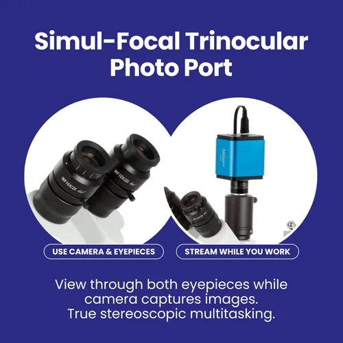 Miniatura 5 de Microscopio con zoom y cerradura estéreo Simul-Focal AmScope 7X a 45X con cabezal de brazo doble