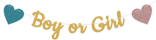 Cartel de revelación de género para niño o niña, decoración de fiesta de revelación de género para baby shower, decoración de banderines azules o