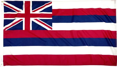 Miniatura 36 de FlagSource Bandera del estado de nailon de Iowa, fabricada en los Estados Unidos, 4 x 6 pies Iowa 4x6
