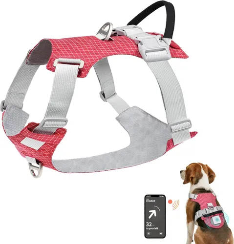 Joytale Arnés ligero para perro, arnés LED recargable sin tirones con caja de luz desmontable, soporte para Airtag, ajustable para caminar por la