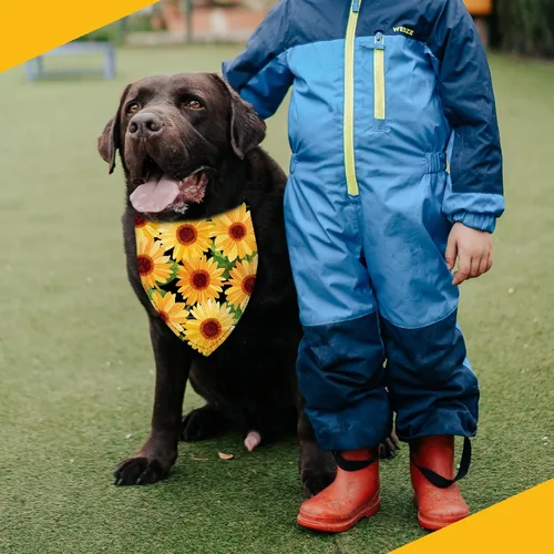 Miniatura 6 de Pañuelo de girasol con hojas para perro, bufanda lavable para mascotas, pañuelo ajustable triangular, estampado de doble cara, negro, girasol Hueso
