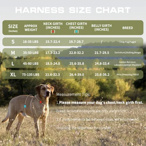 Miniatura 6 de Arnés para perros grandes resistente, arnés táctico sin tirones para perro con sistema Molle, chaleco para perro de servicio fácil de poner y Verde