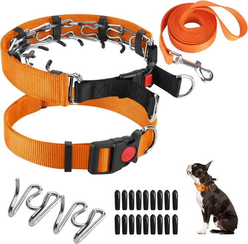 Miniatura 14 de Collar de entrenamiento de puntas con puntas cómodas y hebilla de cierre rápido – Collar de pellizco para perro con cubierta de nailon