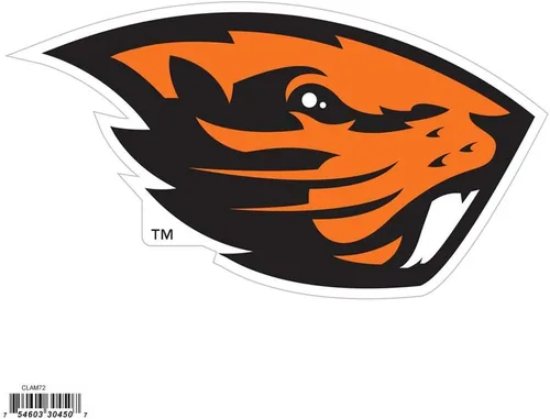 Miniatura 4 de NCAA, imán con logotipo, 8 pulgadas