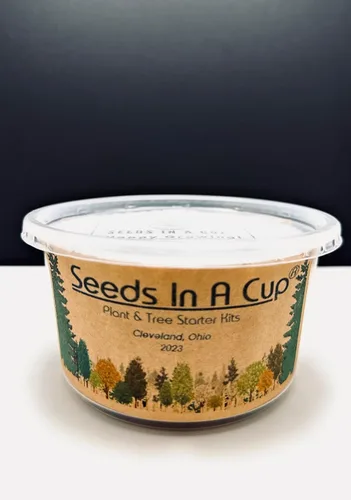 Miniatura 4 de Baya de Goji (Wolfberry): Kit de cultivo de semillas de árbol Nutrientes reales - Suelo rico Sin vainas falsas Educativo Gran idea de regalo