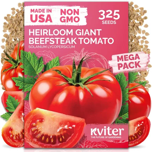 KVITER 325 semillas de tomates gigantes (Solanum lycopersicum) – Filete de ternera paquetes de semillas de tomate – Tomates tradicionales – Semillas