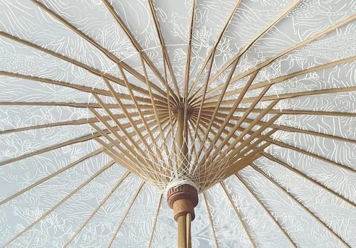 Miniatura 5 de Parasol Safari en la colección Lark con protección UV UPF 50+