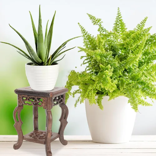 Miniatura 3 de Soporte de madera para plantas, soporte de exhibición para macetas, base para suculentas, mini taburete para interior y exterior, patio, balcón