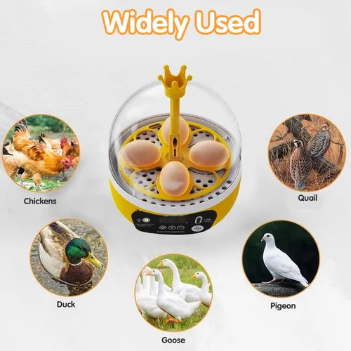 Miniatura 6 de Tissting Mini incubadora de 4 huevos con tapa transparente, control automático de humedad de temperatura de 7 W, máquina de incubación de aves