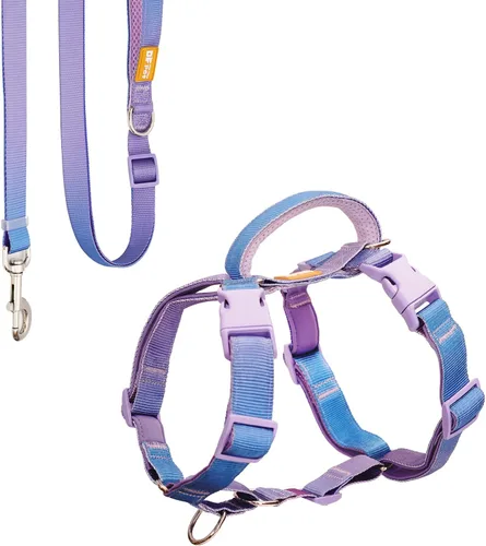 Miniatura 7 de DF Freedom - Juego de arnés y correa para perro, arnés ajustable con clip frontal con mango reflectante y acolchado, fácil para caminar y entrenar